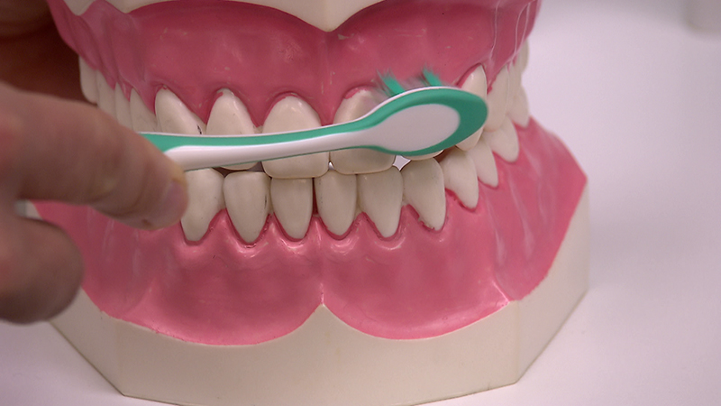 La Vita Zahnbürsten Test Zähneputzen