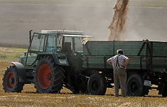 Traktor mit Anhänger bei der Ernte