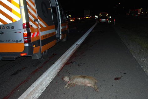 Wildschweinunfall auf der A1