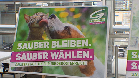Grüne-Plakat, Hund schleckt Katze ab, Aufschrift "Sauber bleiben, sauber wählen"