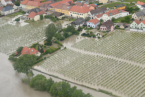 Weingärten der Wachau unter Wasser