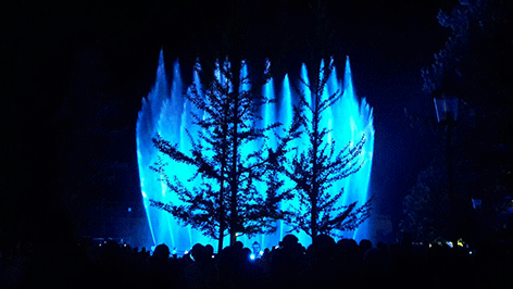 Lasershow mit Bäumen