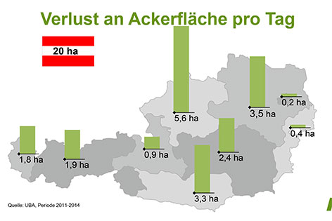 Grafik über Verteilung des verbauten Gebietes pro Bundesland