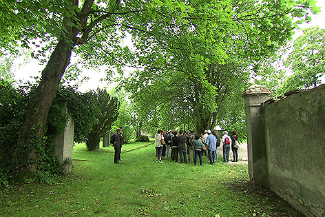 Jüdischer Friedhof Sankt Pölten