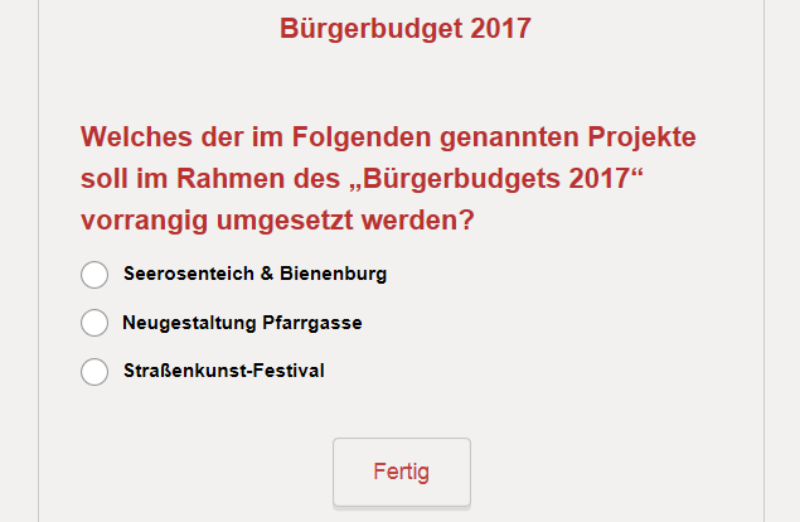 Abstimmung Bürgerbudget Website