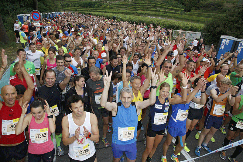 Läufer jubeln bei Wachau Marathon