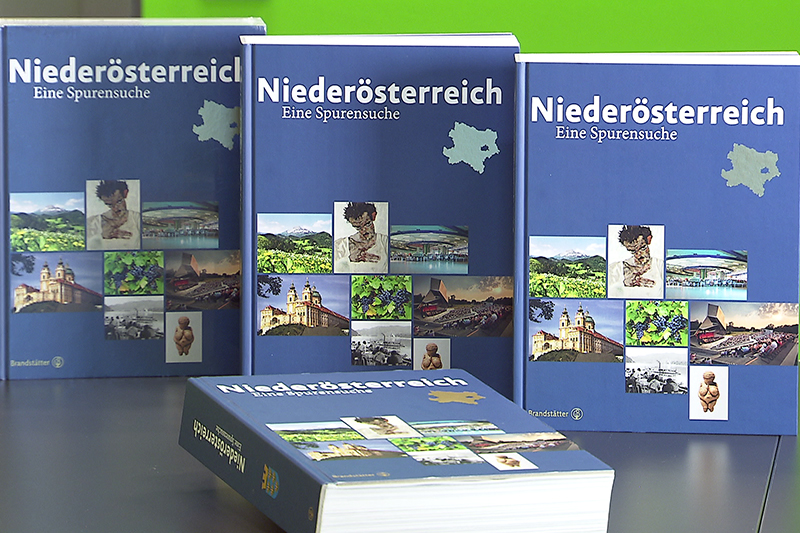 Buch Chronik Niederösterreich