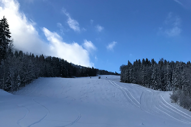 Vorschau Snowboard Weltcup Lackenhof