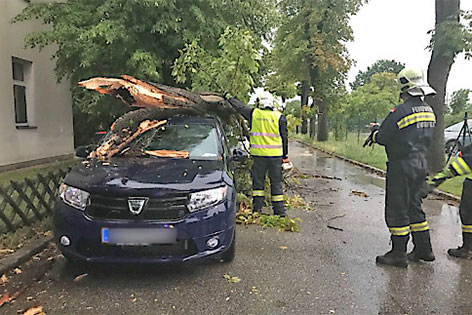 Baum auf Auto gestürzt