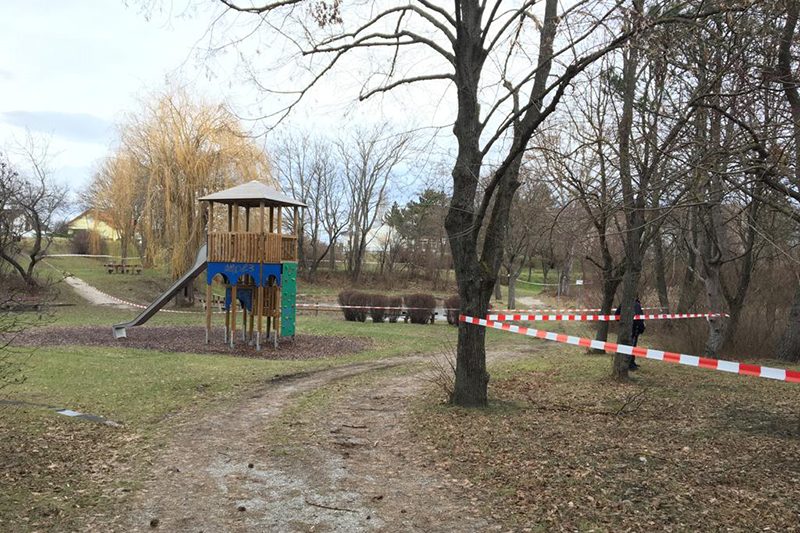 Fundort Leiche Wiener Neustadt Park