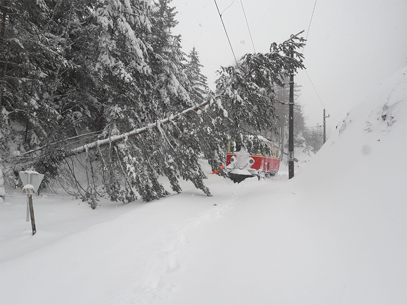 Sperre Mariazellerbahn Schnee Bäume