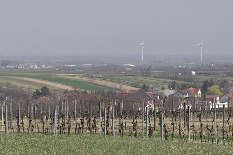 Regionale Leitplanung Grüner Ring Weinviertel Südost