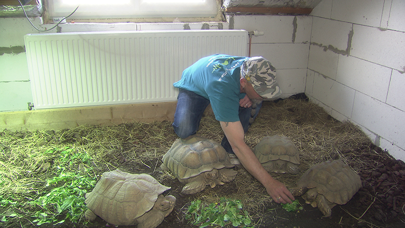 17.04.19 Tierheim für Schildkröten Seebarn am Wagram